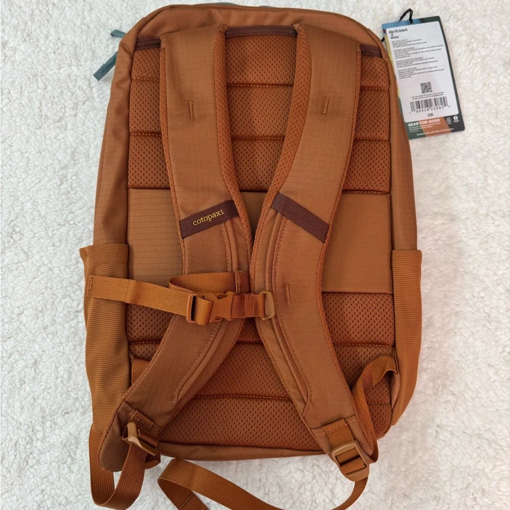 Cotopaxi Allpa 18L Daypack Whiskey